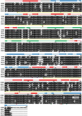 Structure–Function Studies and Mechanism of Action of Snake Venom L-Amino Acid Oxidases